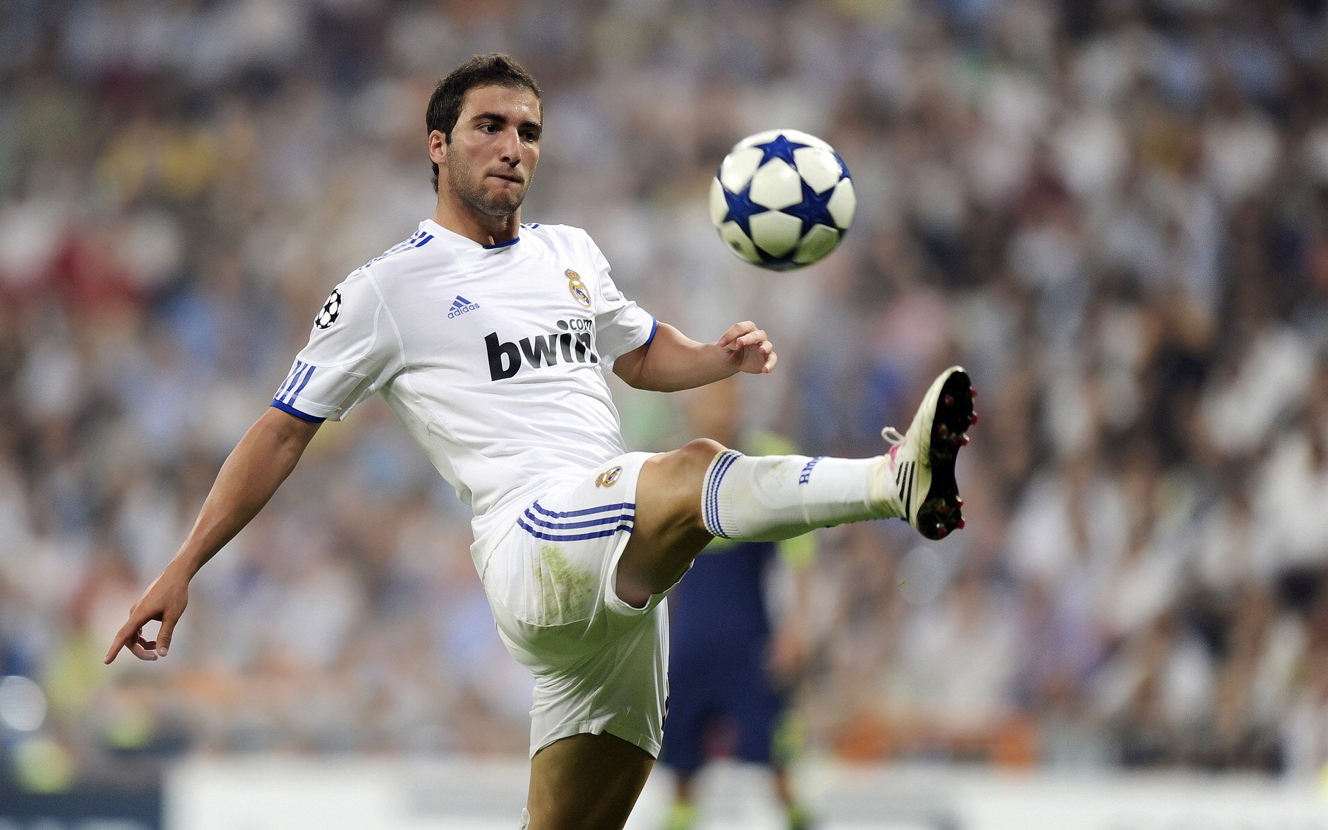 格斗之夜,巅峰对决引爆全球,新星崛起与传奇卫冕